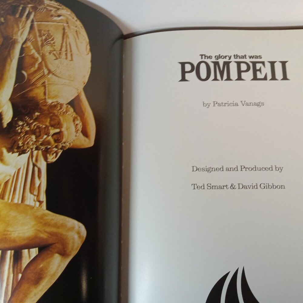 The Glory That Was Pompeii (HCDJ) Illustrated History Book by Patricia Vanags - Picture 4 of 8